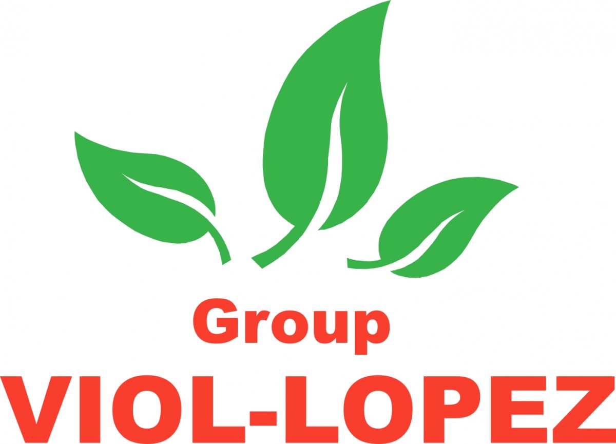 GROUP VIOL-LOPEZ
